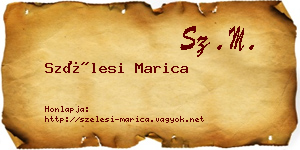 Szélesi Marica névjegykártya
